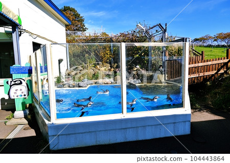 Scenery of Otaru Aquarium Humbol Island Scenery of Otaru Aquarium Humbol Island 104443864