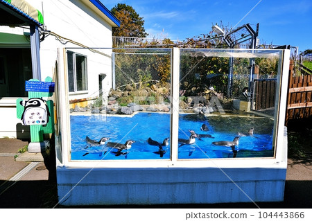 Scenery of Otaru Aquarium Humbol Island Scenery of Otaru Aquarium Humbol Island 104443866