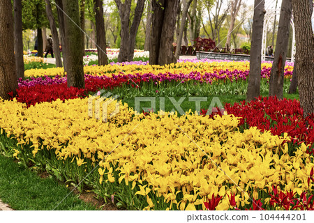 Emirgan Park, Istanbul Emirgan Park, Istanbul 104444201