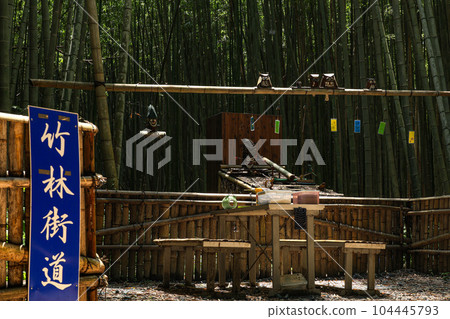 Matsuzaka City Minoda Bamboo Grove Highway 104445793