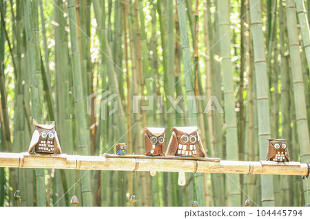 Matsuzaka City Minoda Bamboo Grove Highway 104445794