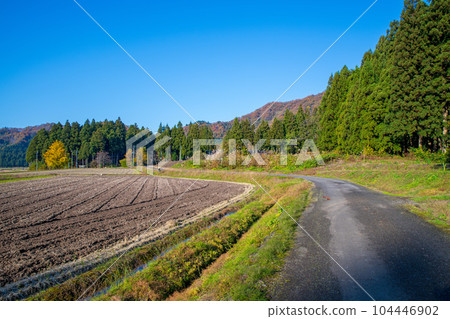 Minamiuonuma in late autumn, rural scenery, autumn scenery, Minamiuonuma City, Niigata Prefecture 104446902