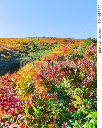 栗駒山秋季登山（Ubanuma路線） 104447321