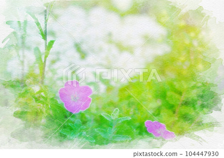[Aichi Prefecture] Bluebonnet geranium 104447930