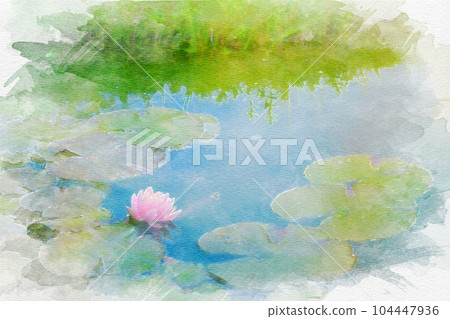 [Aichi Prefecture] Bluebonnet water lily 104447936
