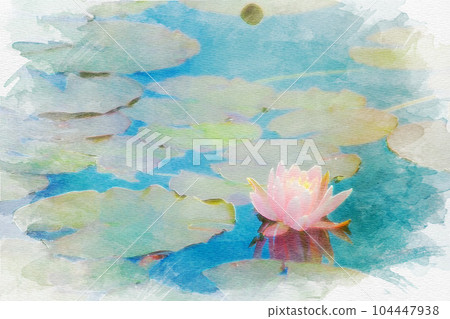 [愛知縣] 矢車菊睡蓮 104447938