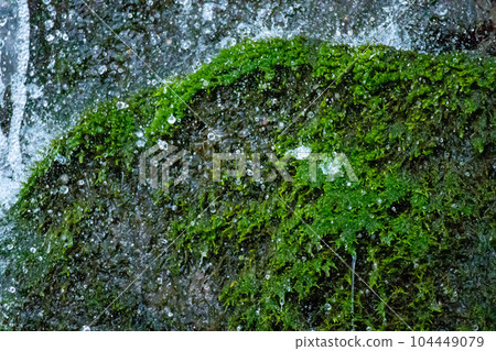 苔蘚和岩石和鹽水 104449079
