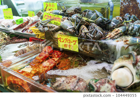 沖繩市場上排隊的熱帶魚 104449355