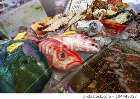 沖繩市場上排隊的熱帶魚 沖繩市場上排隊的熱帶魚 104449358