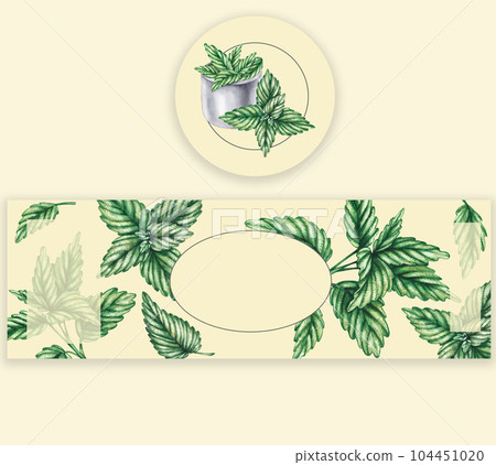 Label mockup with mint plant 104451020
