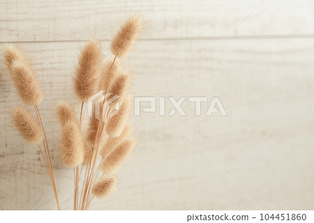 Dried flowers in a vase Natural plant background material 104451860