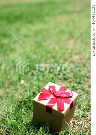 Gift box on green grass background with as a present for Christmas, new year, valentine day or anniversary. Gift box on green grass background with as a present for Christmas, new year, valentine day or anniversary. 104452123