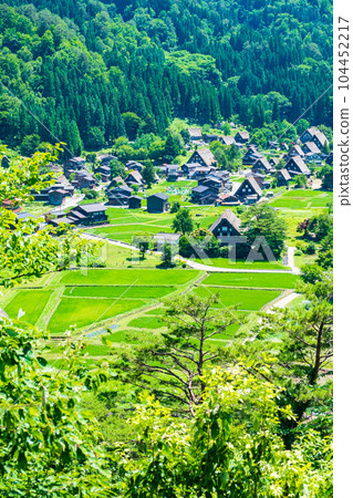 夏川白川鎮 104452217