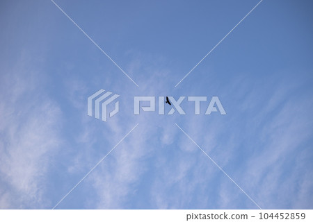 winter blue sky bird sky image winter blue sky bird sky image 104452859