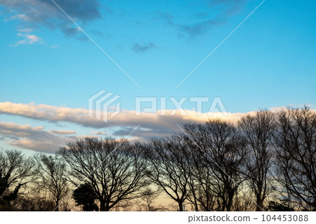 冬天的夕陽 夕陽的天空 圖片 冬天的夕陽 夕陽的天空 圖片 104453088