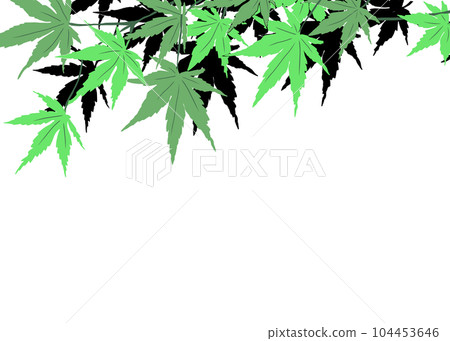 藍色楓樹陰影圖 104453646