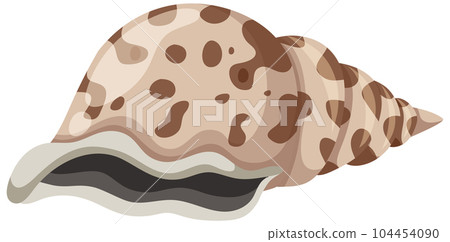 Isolated shell rocky shore 104454090