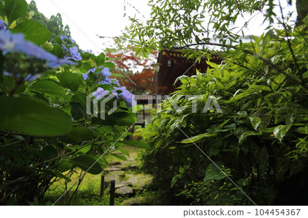 Kuan-ji Temple <Koyasan Shingon Buddhism Osawayama Flower Temple> [Ikeda City, Osaka Prefecture] 104454367