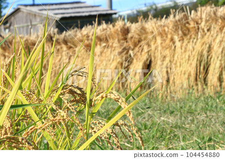 米飯和米飯掛 104454880
