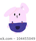pink Rabbit 104455049