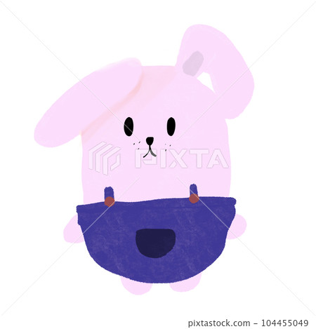 pink Rabbit 104455049