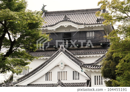 Roots of Tokugawa Ieyasu Mikawa Province Okazaki Castle Tower 104455191