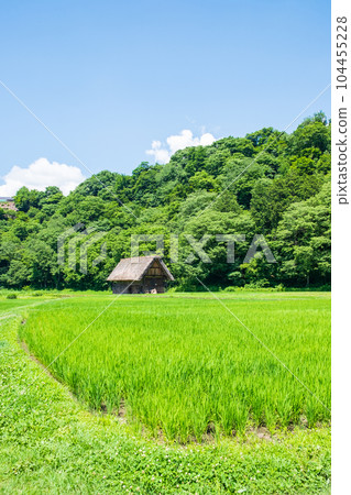 Summer Shirakawa Town Summer Shirakawa Town 104455228