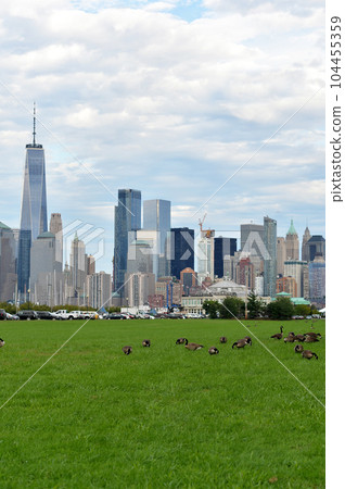 birds on lawn. New York city skyline. USA. 104455359
