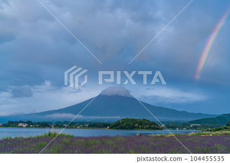 (山梨縣)大石公園、薰衣草和富士山 (山梨縣)大石公園、薰衣草和富士山 104455535