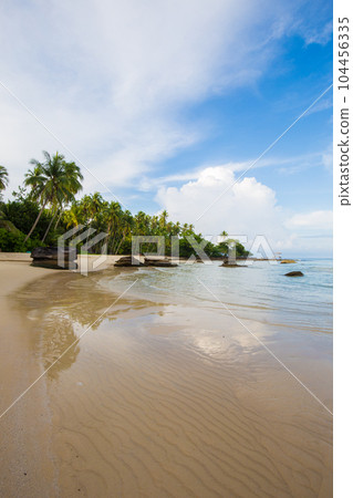 Island sea beach coconut palm tree against blue sky with cloud Island sea beach coconut palm tree against blue sky with cloud 104456335