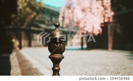 koyto tample in maple season and cloud koyto tample in maple season and cloud 104456466