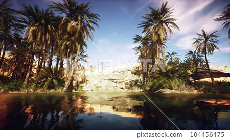 desert oasis among the dunes desert oasis among the dunes 104456475