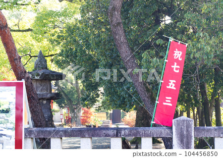 七五先生在神社 七五先生在神社 104456850