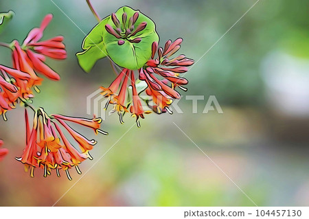 柔和風格的“Tsukikinoki Nindou”插圖圖像 104457130