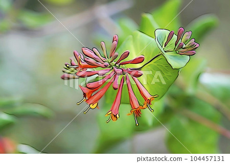 柔和風格的“Tsukikinoki Nindou”插圖圖像 104457131