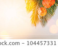 Tropical palm tree with sun light on sunset sky and cloud abstract background. Summer vacation and nature travel adventure concept. Vintage tone filter effect color style. 104457331