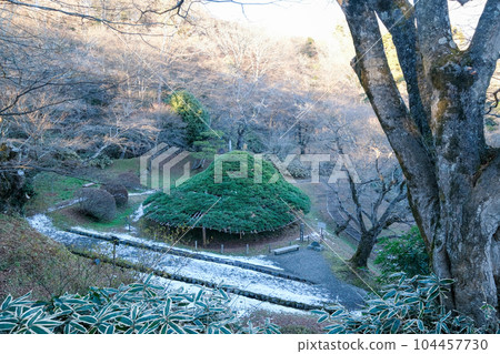 福島縣二本松市 冬季二本松城、霞城笠松 福島縣二本松市 冬季二本松城、霞城笠松 104457730