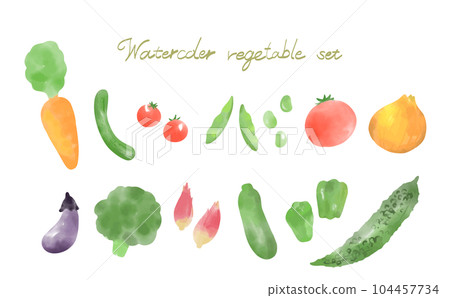 Watercolor style vegetable illustration set Watercolor style vegetable illustration set 104457734