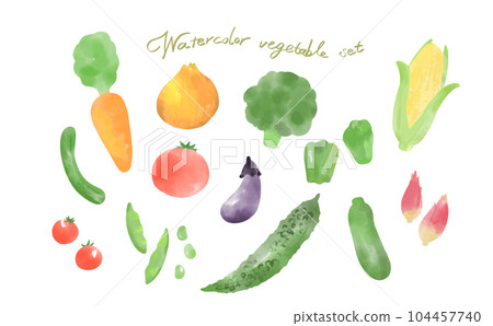 Watercolor style vegetable illustration set Watercolor style vegetable illustration set 104457740