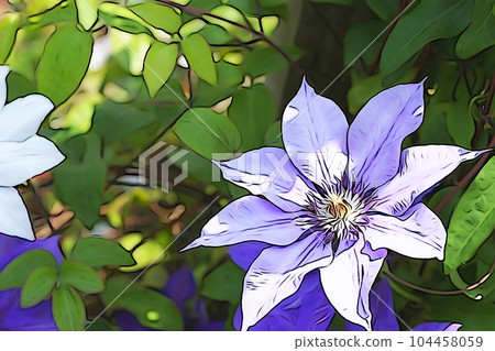 Pastel style "clematis" illustration image Pastel style "clematis" illustration image 104458059
