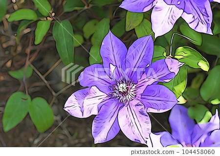 Pastel style "clematis" illustration image 104458060
