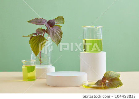 Several beakers in different sizes put on some geometric shape podiums. Yellow liquid contained inside. Beefsteak Plant (Perilla frutescens) helps protect skin from freckles and dark spots Several beakers in different sizes put on some geometric shape podiums. Yellow liquid contained inside. Beefsteak Plant (Perilla frutescens) helps protect skin from freckles and dark spots 104458832