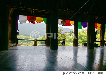 Hasegaji牡丹 104459801