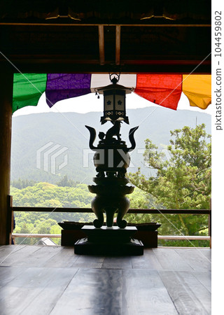Hasegaji牡丹 104459802