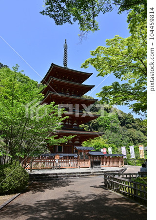 Hasegaji Peony Hasegaji Peony 104459814