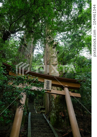 和歌山縣田邊市中邊町 和歌山縣田邊市中邊町 104461344