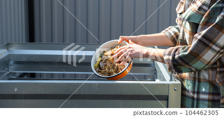 A woman in a plaid shirt pours food waste from a bowl into a compost heap of potato and carrot peelings. Compost box made of metal, eco-friendly fertilizer for the garden A woman in a plaid shirt pours food waste from a bowl into a compost heap of potato and carrot peelings. Compost box made of metal, eco-friendly fertilizer for the garden 104462305