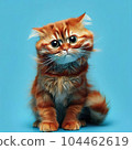 drawing of a funny cat 104462619