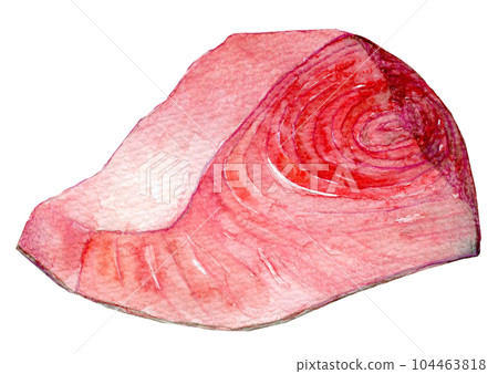 Watercolor illustration fillet of tuna bluefin tuna 104463818