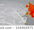 金魚 104464975